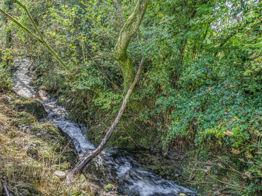 Surrounding area | The Berm - Eco Retreats, Capel Isaac