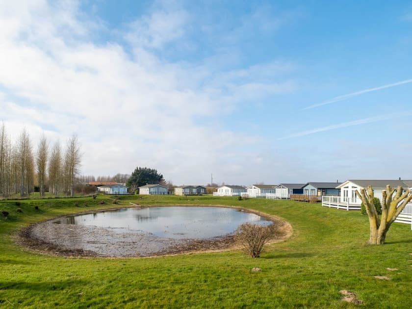 View | Little Owl, Aldringham
