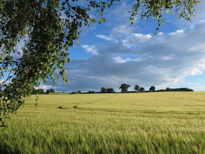 Surrounding area | Deepwell Hayloft, Buxhall