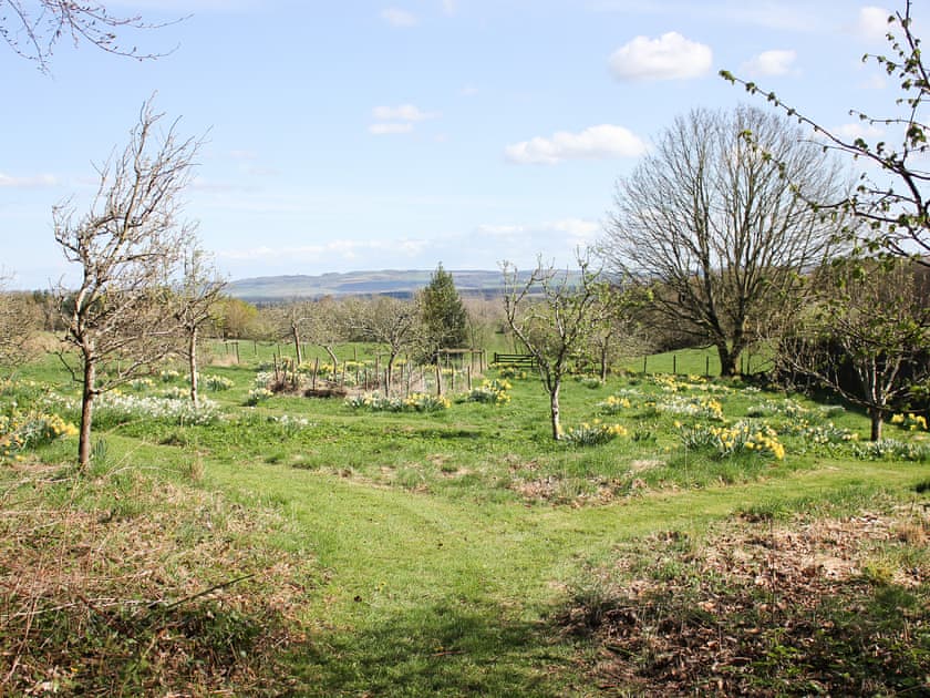 Garden and grounds | Lochieheads House, Auchtermuchty, near St Andrews