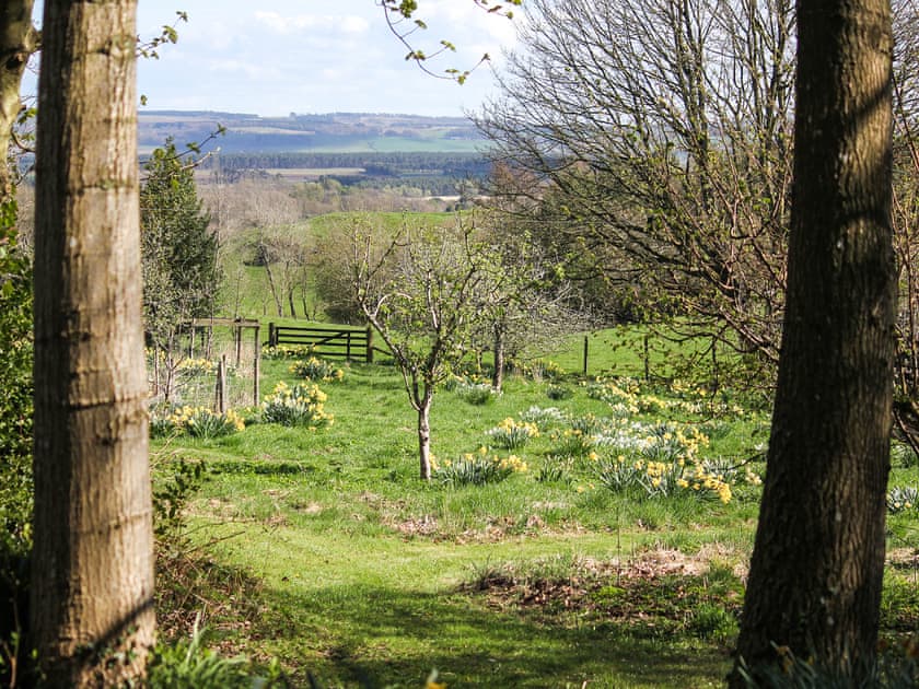Garden and grounds | Lochieheads House, Auchtermuchty, near St Andrews