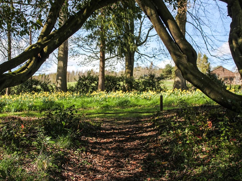 Garden and grounds | Lochieheads House, Auchtermuchty, near St Andrews