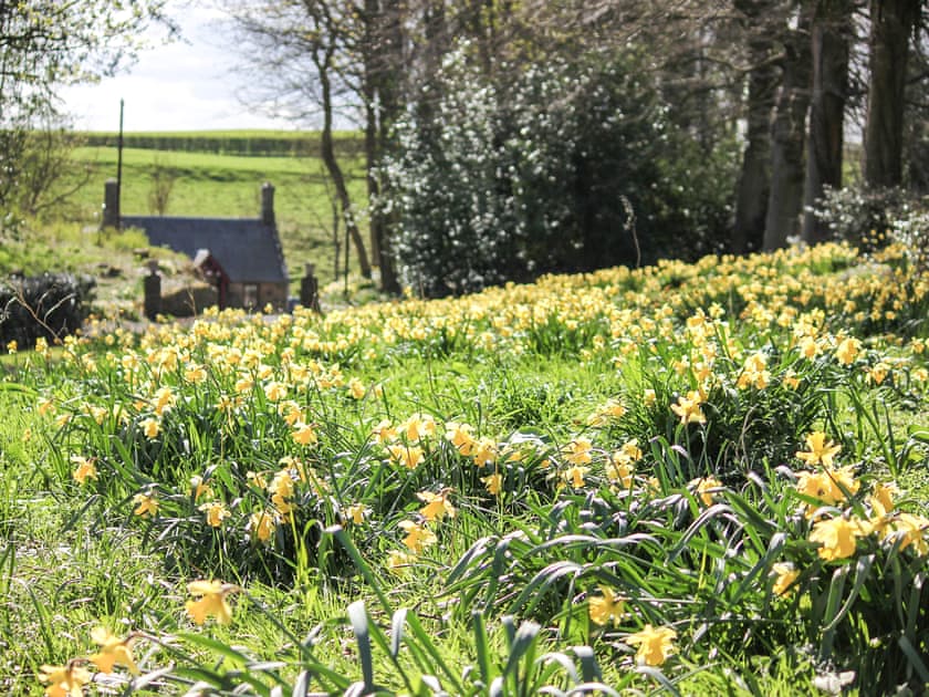 Garden and grounds | Lochieheads House, Auchtermuchty, near St Andrews