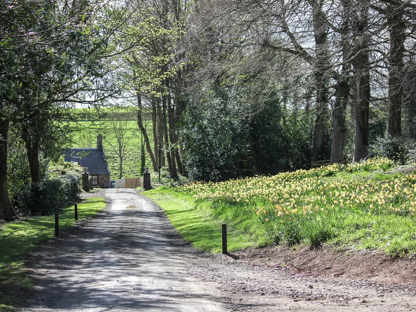 Driveway | Lochieheads House, Auchtermuchty, near St Andrews