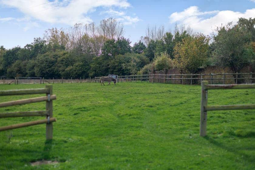Garden and grounds | Purbeck View - Holly Hedge Farm, Holly Hedge Farm