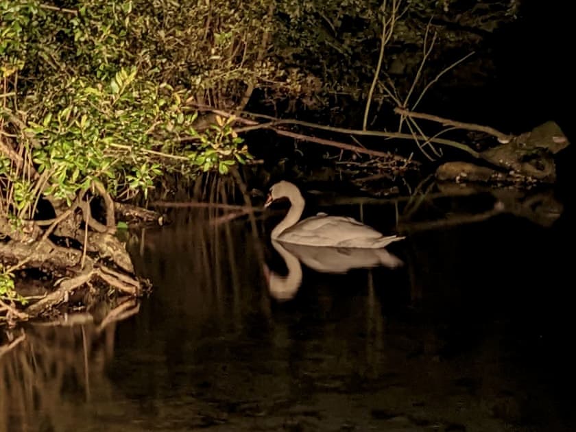 Surrounding area | Duck Cottage, Winterbourne Dauntsey, near Salisbury