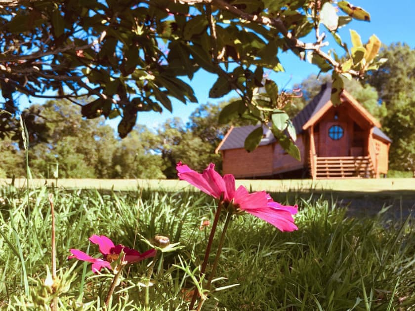 Exterior | Seal Point Cabin, Cairndow