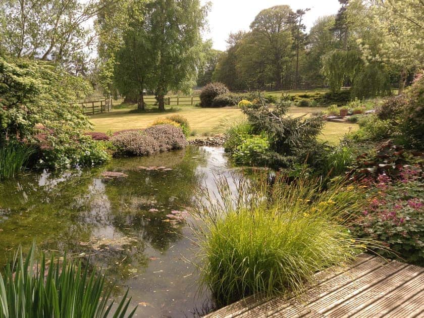 Garden and grounds | Covert Cottage, Diss