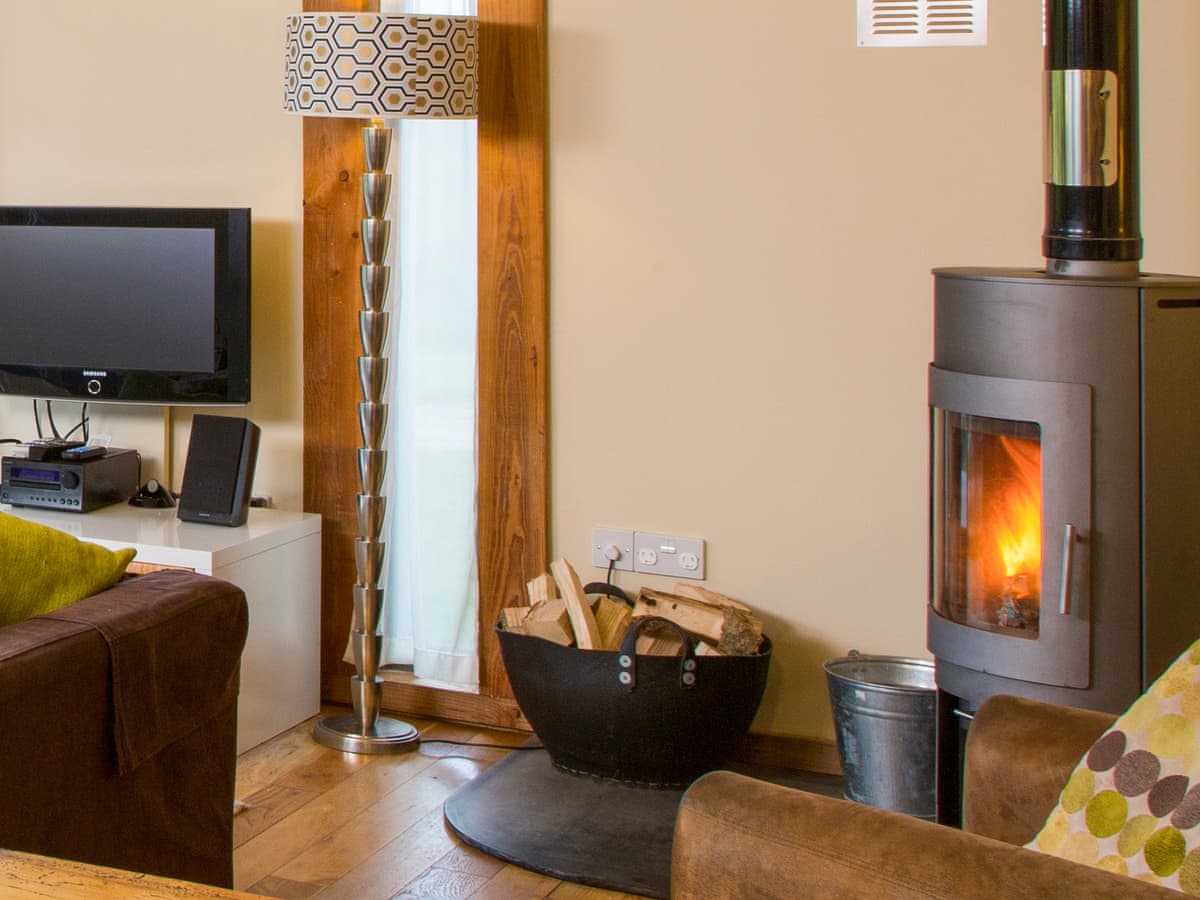 The Lodge - Holiday lodge in South West England - Image 3