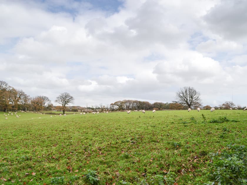 View from garden | The Old Vicarage, Westward, near Wigton