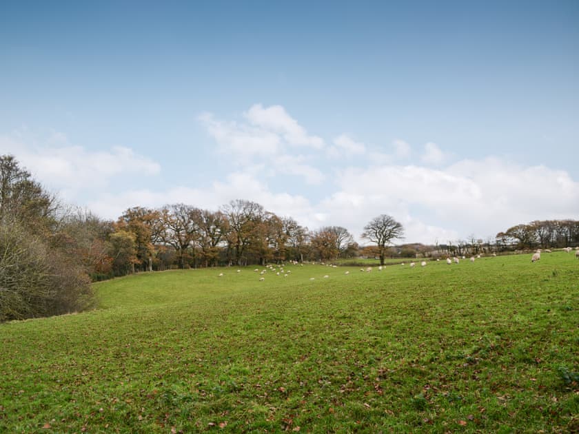 View from garden | The Old Vicarage, Westward, near Wigton