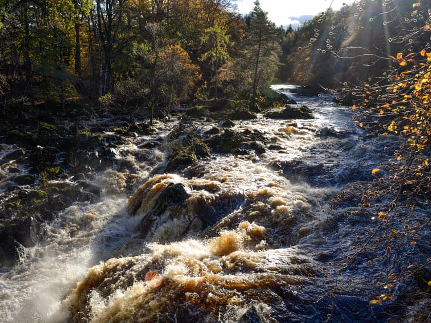 Spectacular local scenery | Toll Bridge Lodge, Banchory
