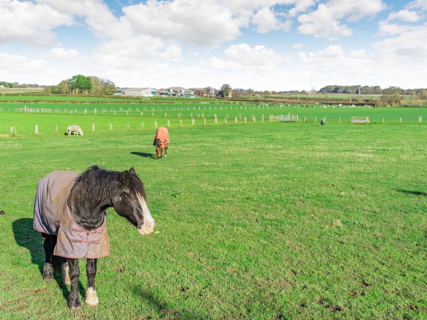 Surrounding area | Three - Ivy Farm, Lytham