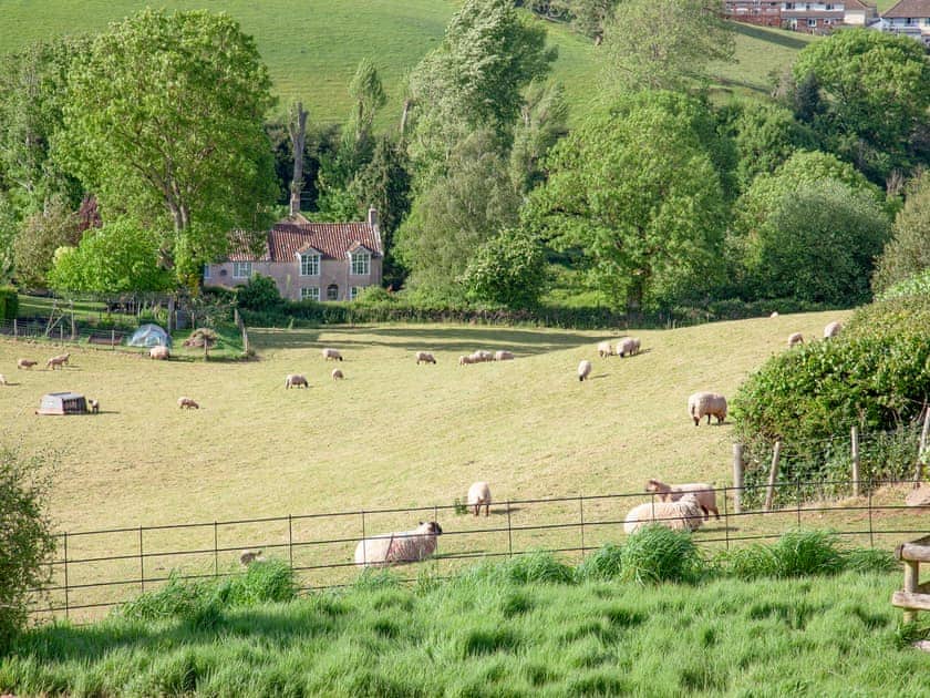 View | Primrose - Bincombe Country Cottages, Over Stowey, near Bridgwater