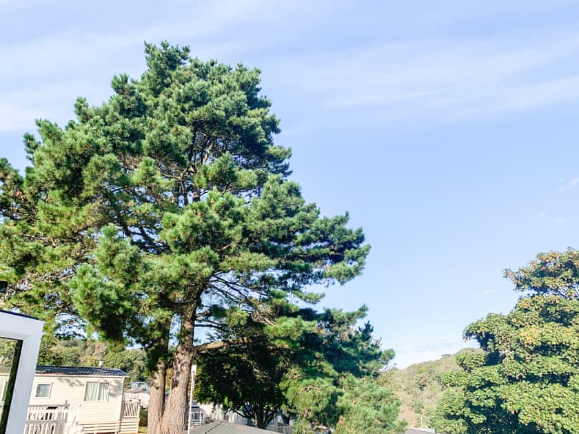 View | Retro Retreat, Paignton