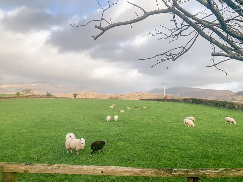 Winter garden view | Roses Cottage, Santon, near Holmrook