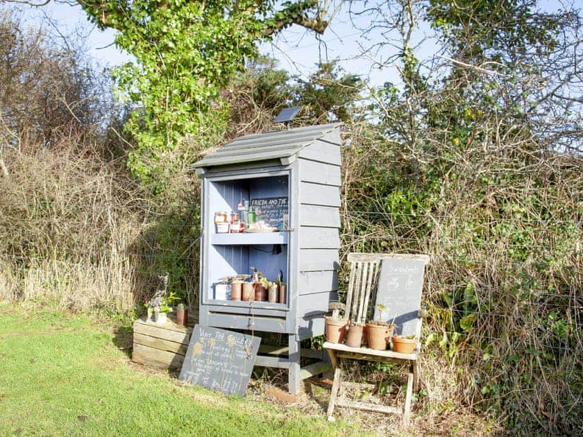 Garden and grounds | The Tabernacle - Frieda And The Moon, Tresawson, near Looe