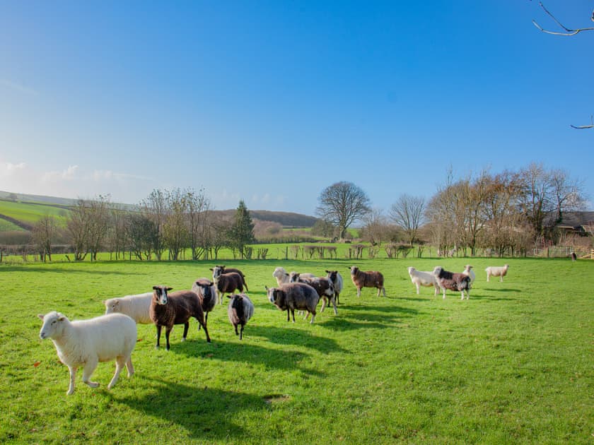 Surrounding area | The Observatory - Frieda And The Moon, Tresawson, near Looe