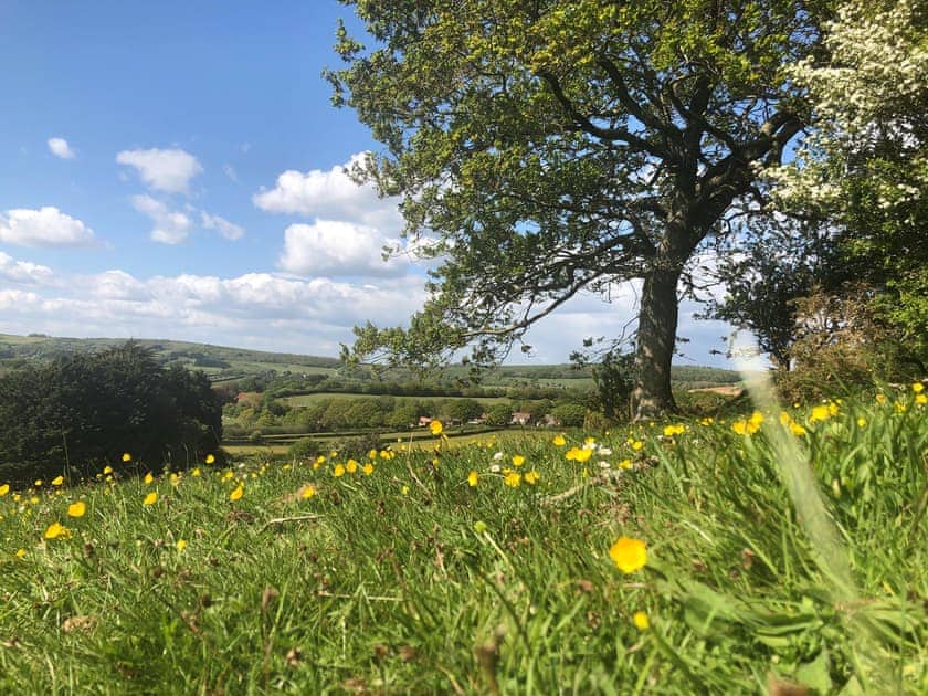 Surrounding area | Queen Bower Farm Lodge, Alverstone, near Sandown