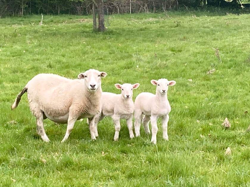Surrounding area | Blackrock Barn, Hay-on-Wye