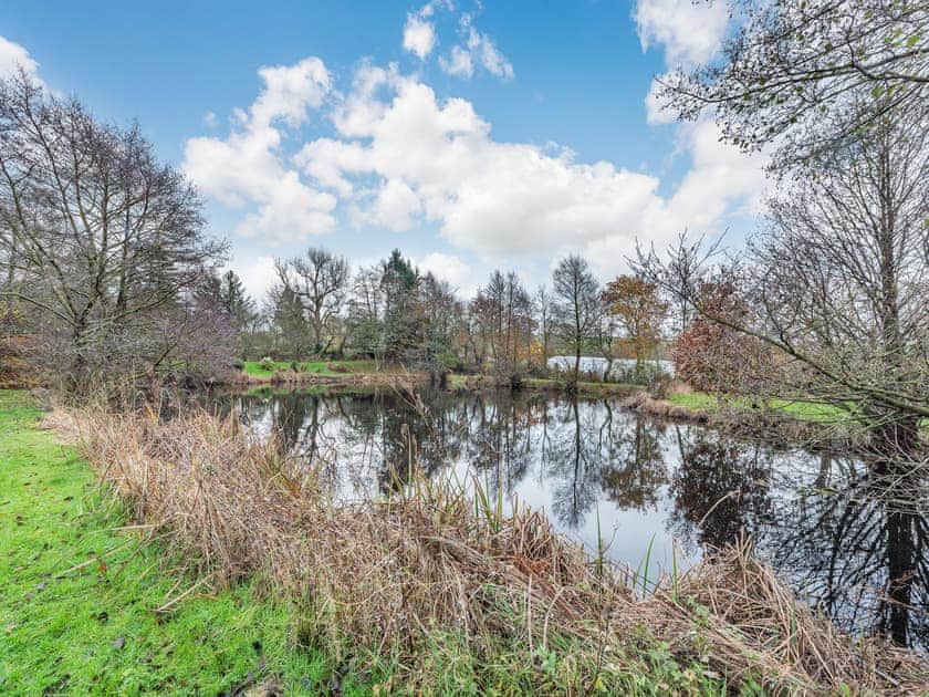 Surrounding area | Snowdrop, Oakford, near Llanarth