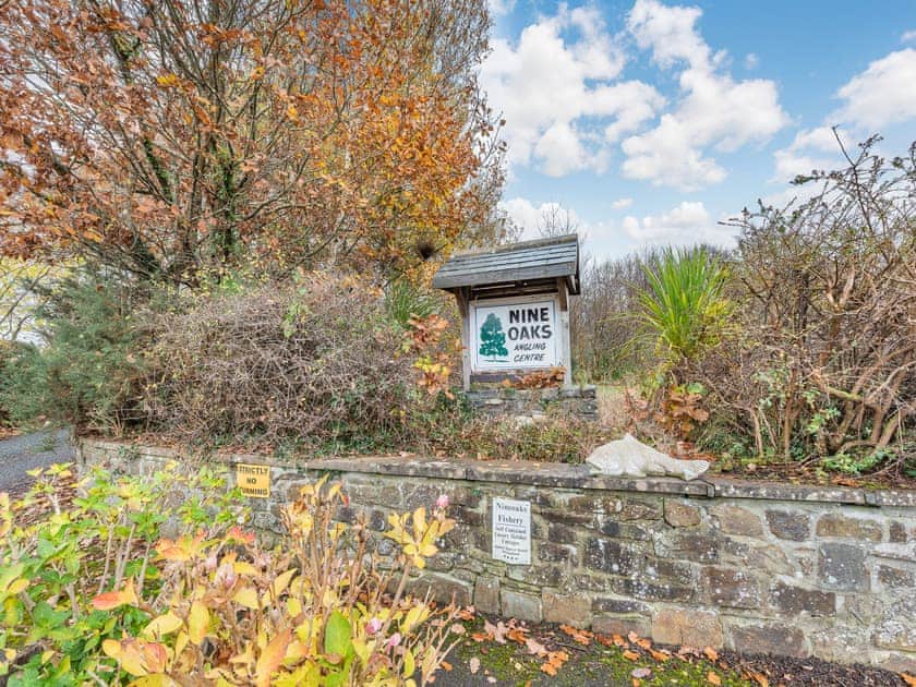 Surrounding area | Snowdrop, Oakford, near Llanarth