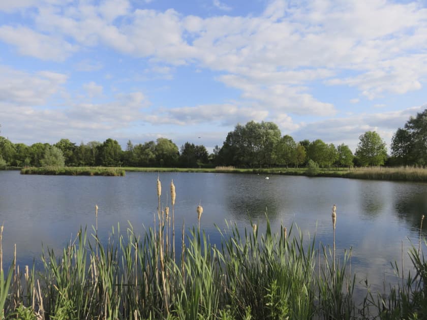 Garden and grounds | Owls Nest, Wyton