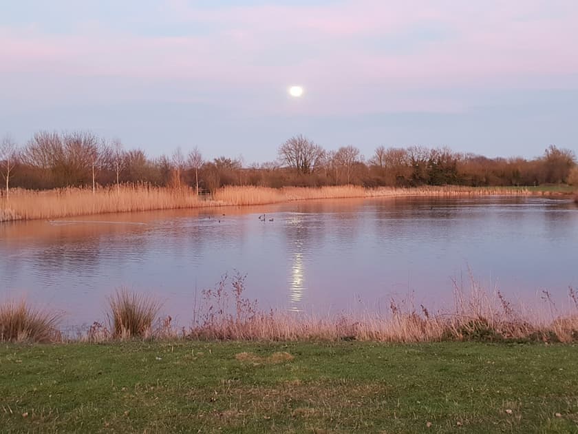 Garden and grounds | Owls Nest, Wyton