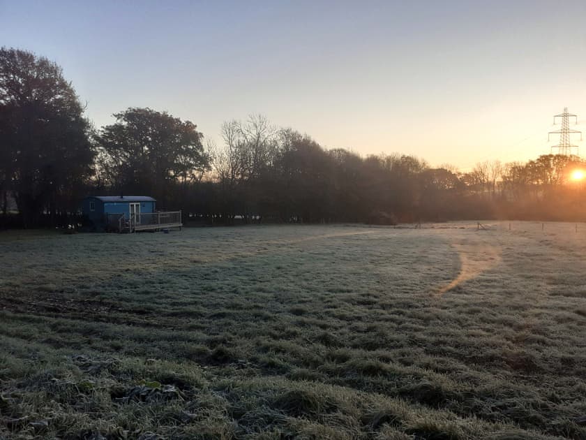Setting | The Shepherd’s Hut at Calvesfield Shaw - Chilsham Farm Nurseries, Herstmonceux, near Hailsham