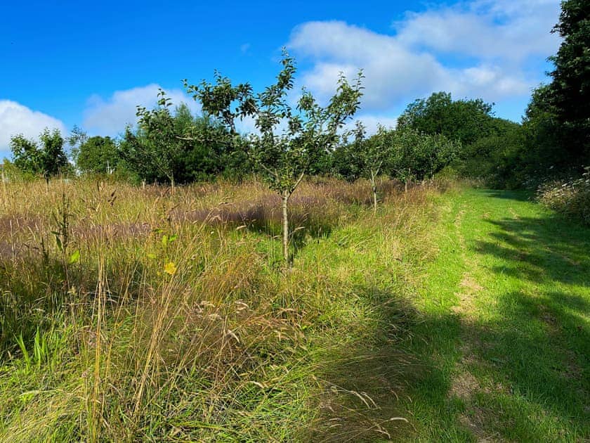 Surrounding area | Pheasants Wander at Summercourt, Summercourt, near Newquay