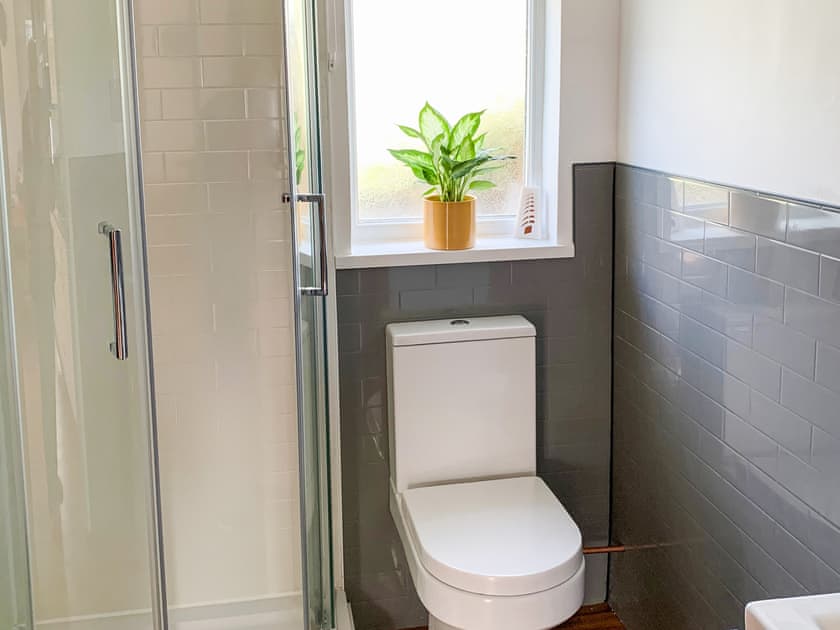Shower room | Rosemary Cottage - Legge Farm Cottages, Highhampton, near Beaworthy