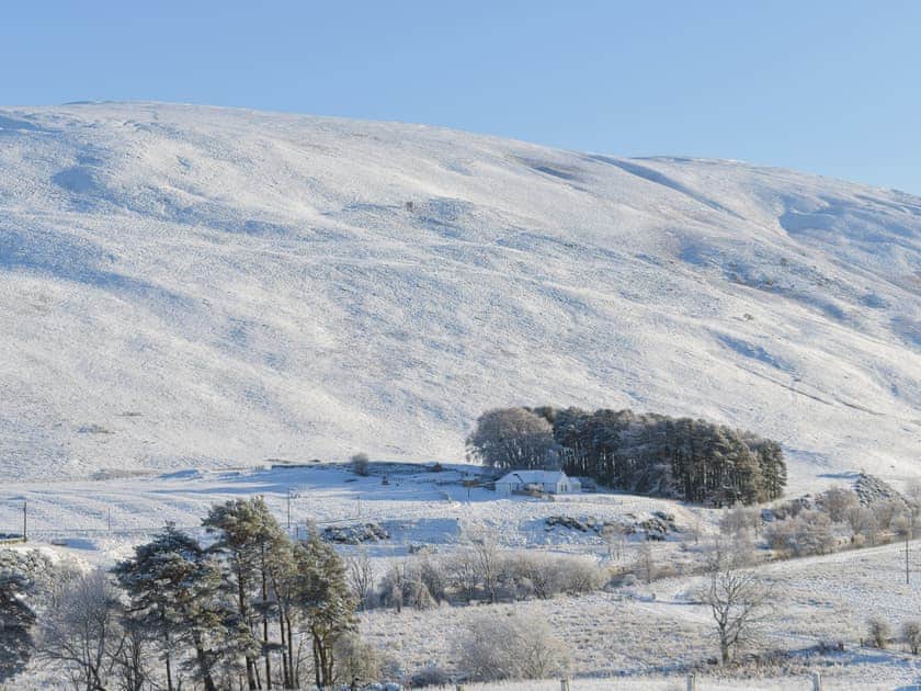 Surrounding area | Tweedford Cottage - Drumelzier Place Farm, Drumelzier, near Peebles