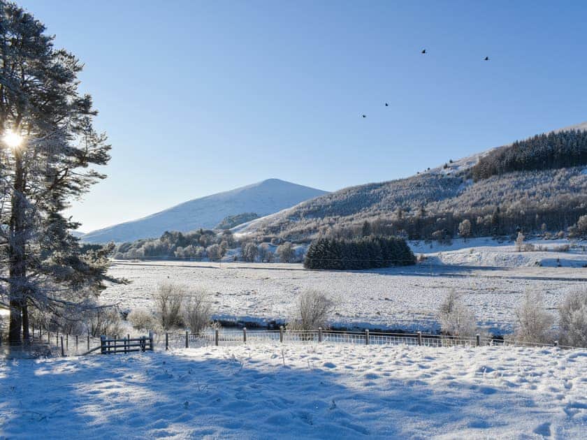Surrounding area | Tweedford Cottage - Drumelzier Place Farm, Drumelzier, near Peebles