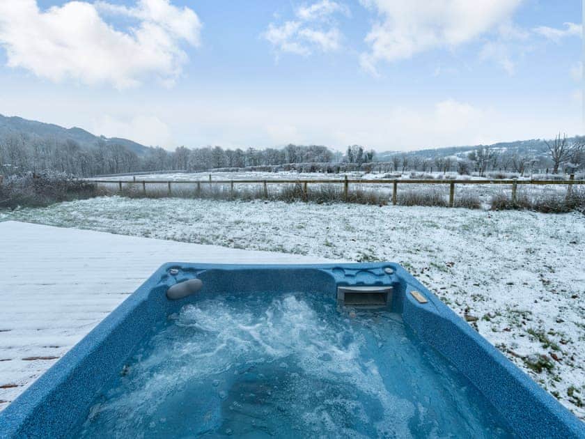 View | Ty Ceirios - Dwr Y Felin Log Cabins, Carno