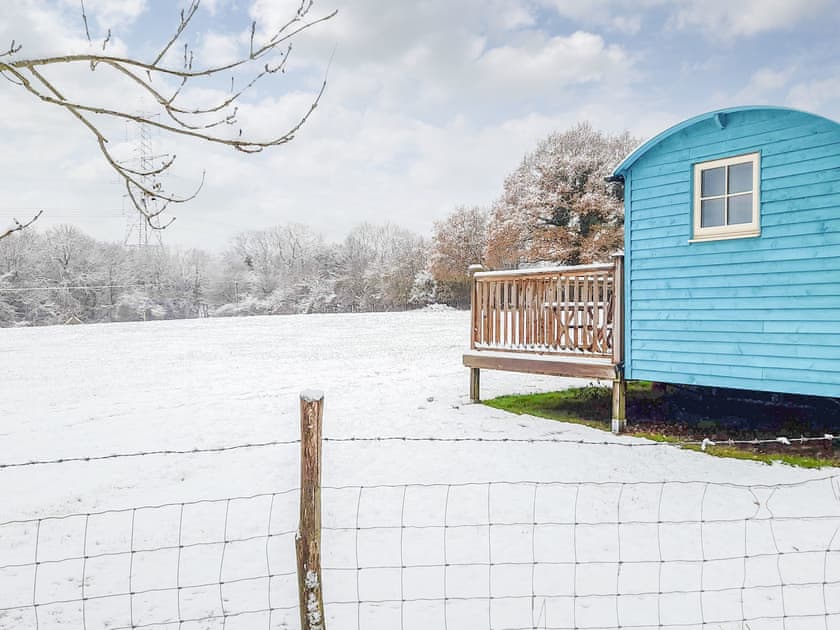 Setting | The Shepherd’s Hut at Calvesfield Shaw - Chilsham Farm Nurseries, Herstmonceux, near Hailsham