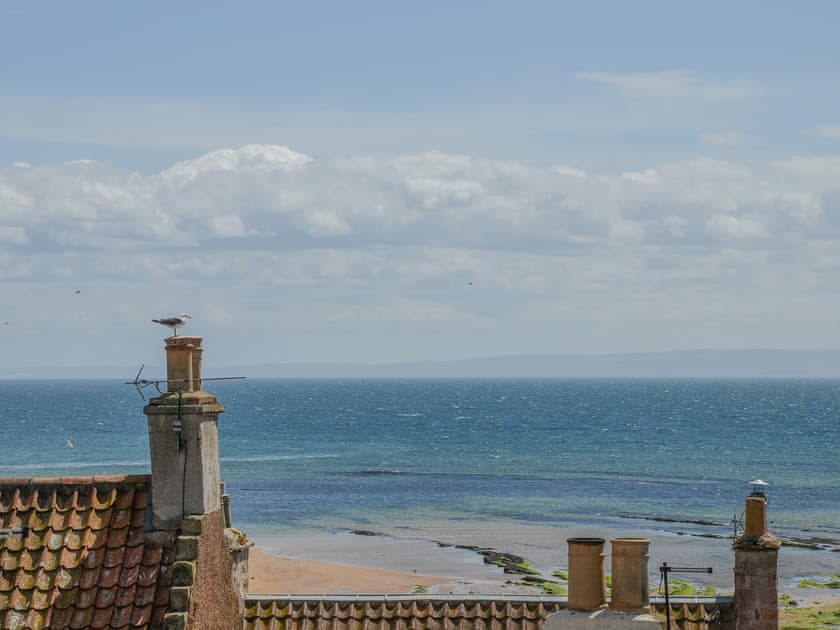 View | Tall Ship, Anstruther