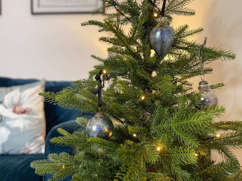 Decorated over the Christmas period | Forest Acorn, Brockenhurst