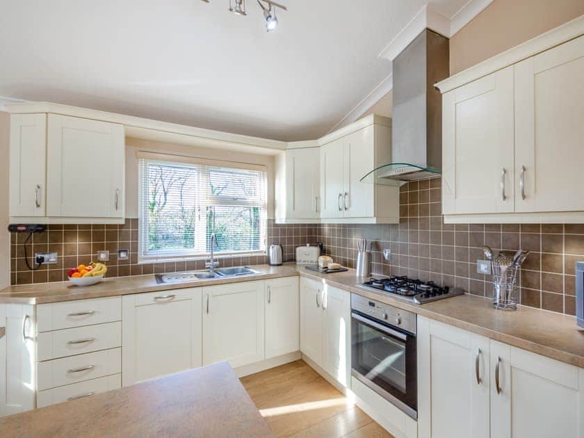 Kitchen area | Glanrafon Lodge, Glanrafon Uchaf