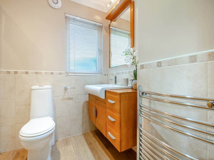 Shower room | Glanrafon Lodge, Glanrafon Uchaf