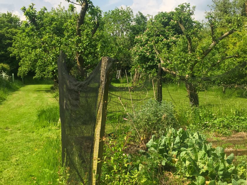 Garden and grounds | Feltham’s Cottage - Feltham’s Farm, Horsington Marsh, near Templecombe