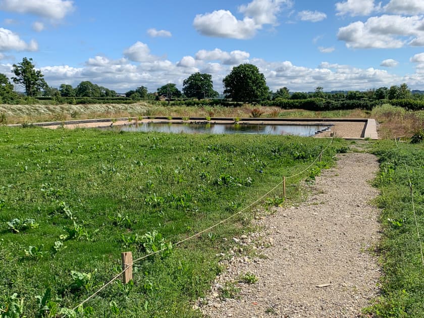 Garden and grounds | Feltham’s Cottage - Feltham’s Farm, Horsington Marsh, near Templecombe