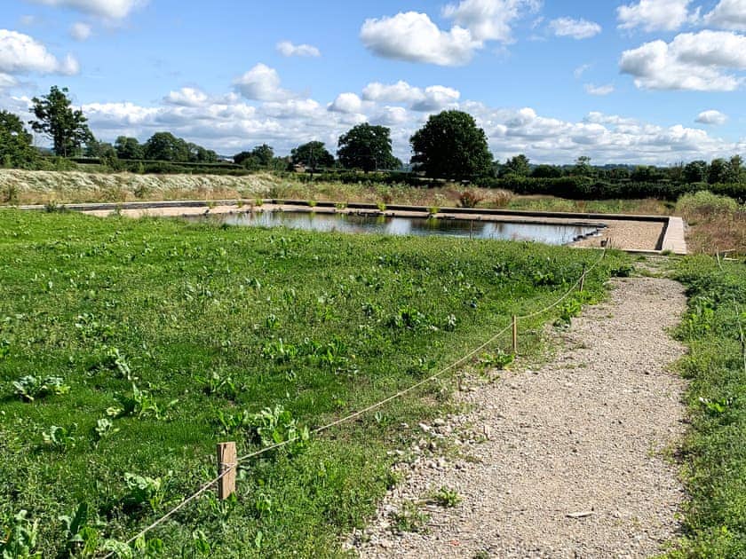Swimming pool | The Organic Cabin - Feltham’s Farm, Horsington Marsh, near Templecombe