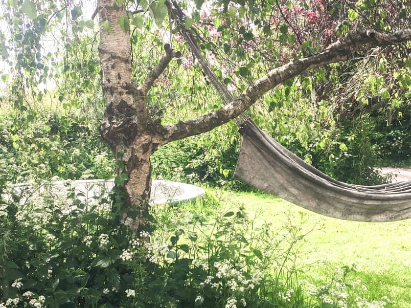 Garden and grounds | The Organic Cabin - Feltham’s Farm, Horsington Marsh, near Templecombe