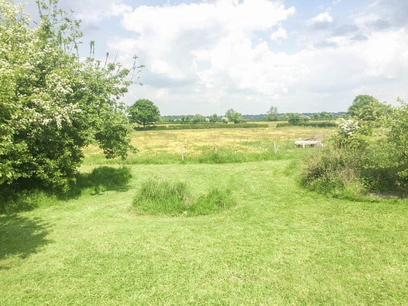 Garden and grounds | The Organic Cabin - Feltham’s Farm, Horsington Marsh, near Templecombe