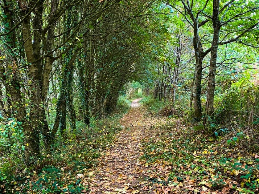 Malpas countryside | High View, Truro
