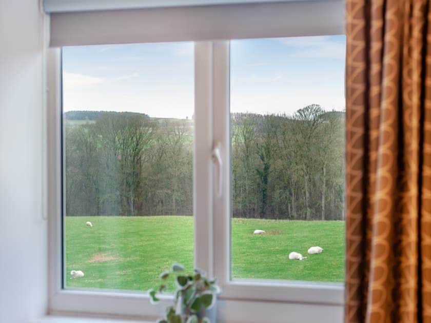 View | South View, Haydon Bridge, near Hexham