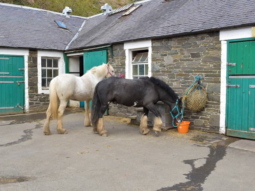 On-site amenities | The Bothy, Walkerburn, near Peebles
