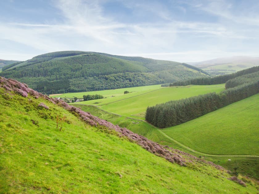 Views around the farm | The Bothy, Walkerburn, near Peebles