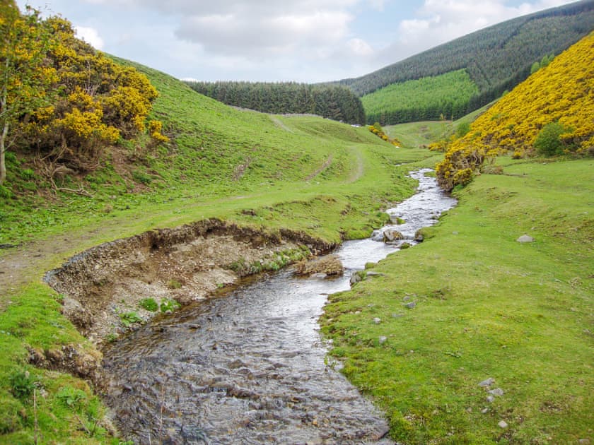 Farm Walk | The Bothy, Walkerburn, near Peebles
