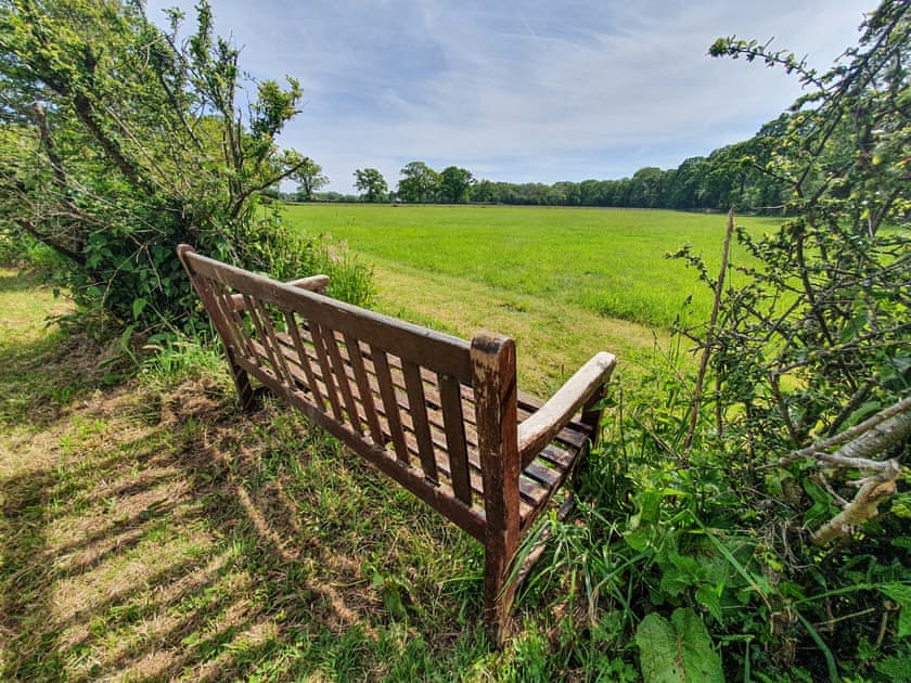 Garden and grounds | New Forest Annexe, Hordle, Lymington
